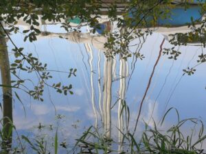 Miksang photographie contemplative - vecteur - nature superposition - copyright -JessicaSarapoff - Miksang photographie contemplative